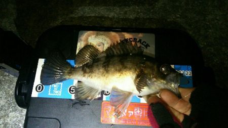 メーカーさんのイベント帰りに早速♪