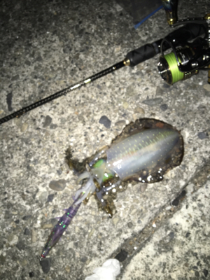 サイズは上がらず