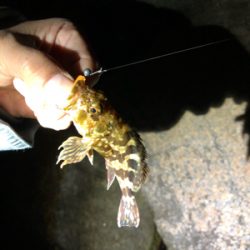 メバリングランガンのはずが…