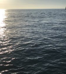 西流れ、激流(;_;)