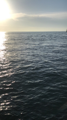 西流れ、激流(;_;)