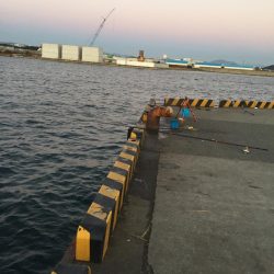 ドラゴン狙い！