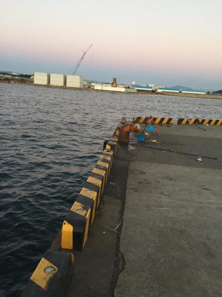 ドラゴン狙い！