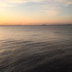 初のノマセ釣り