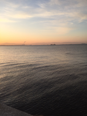 初のノマセ釣り