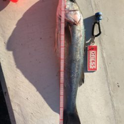 朝まずめ寒すぎ