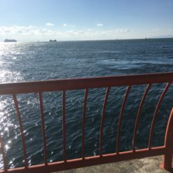 ノマセなぜ飲まない❓