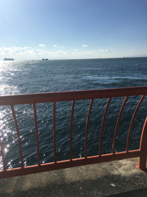 ノマセなぜ飲まない❓