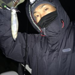 ヒイカナイトゲーム♪