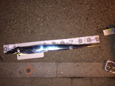 ドラゴンきました‼️