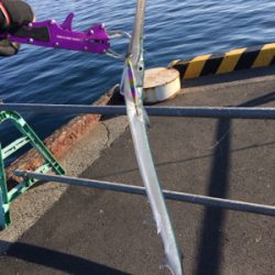 エキサイティングな釣りを楽しむ