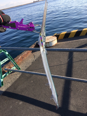 エキサイティングな釣りを楽しむ