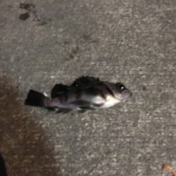 子供と夕マヅメに