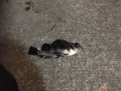 子供と夕マヅメに