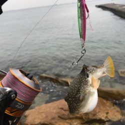 E.S.OとG.U.F.Uでボウズ逃れ^^;