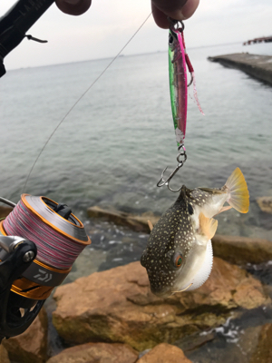 E.S.OとG.U.F.Uでボウズ逃れ^^;