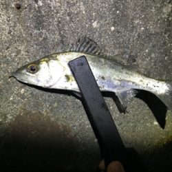 ライトゲーム五目達成