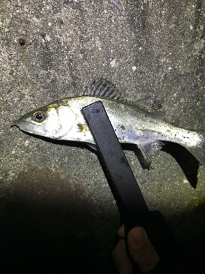 ライトゲーム五目達成