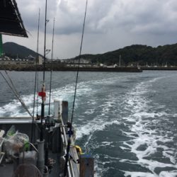 シオ釣れてます