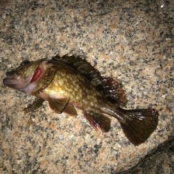 これからの季節の楽しみ！