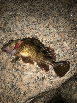 これからの季節の楽しみ！