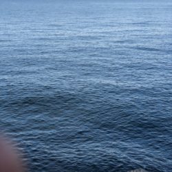 太刀魚狙いのはずが