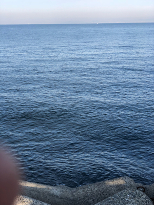 太刀魚狙いのはずが