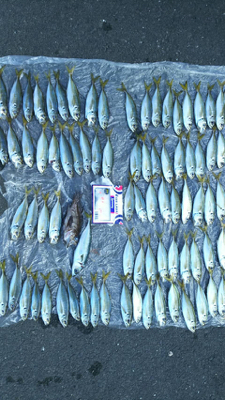 家島ライトゲーム