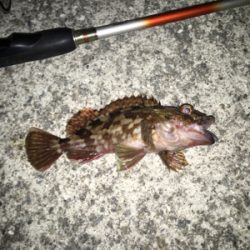 沖堤防のち舞洲へ