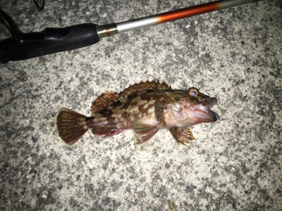 沖堤防のち舞洲へ