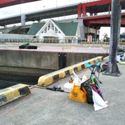 ガシラを求めて