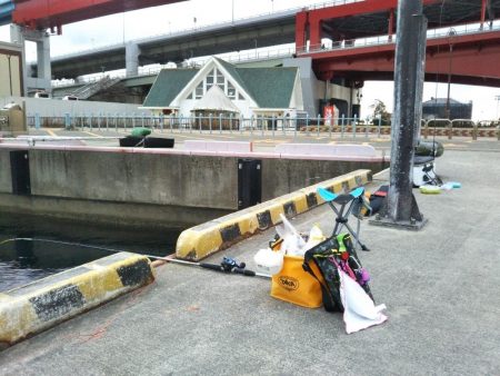 ガシラを求めて