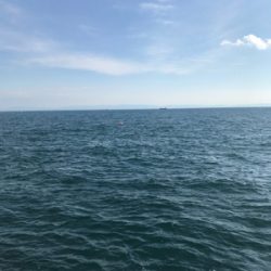 う〜〜ん、風邪と潮のタイミングが…