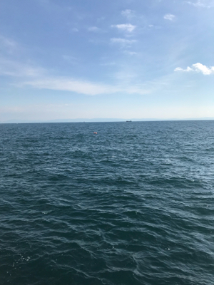 う〜〜ん、風邪と潮のタイミングが…