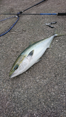 2017ラストに大当たり！