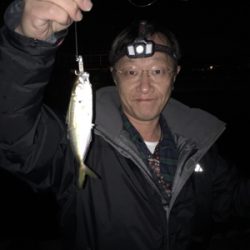 ナイトアジング☆