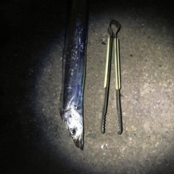 タチウオ厳しい