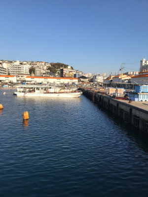 爆風の塩屋漁港