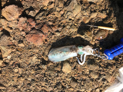 シブ〜い日でした。