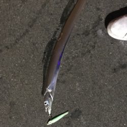 まだおるやん！