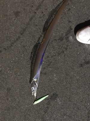 まだおるやん！