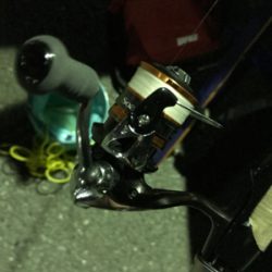 今年最後かもからの