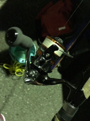 今年最後かもからの