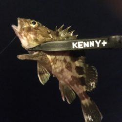 やっと風がおさまりました。