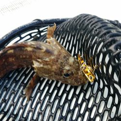 ルアーフィッシング