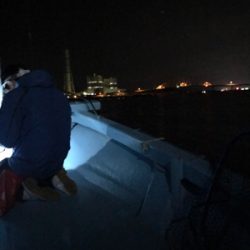 ボートエギング