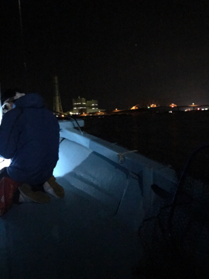 ボートエギング