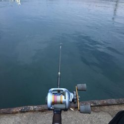 カワハギ姿無し！！