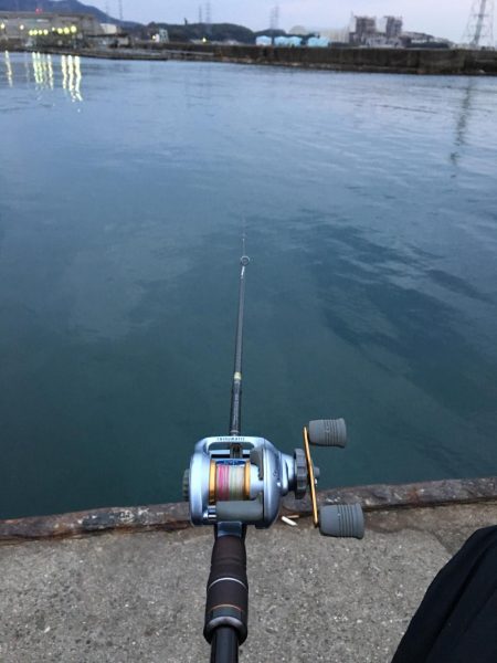 カワハギ姿無し！！