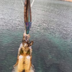 修行が足りてません